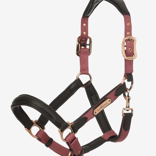 Le Mieux LM Capella Headcollar Orchid