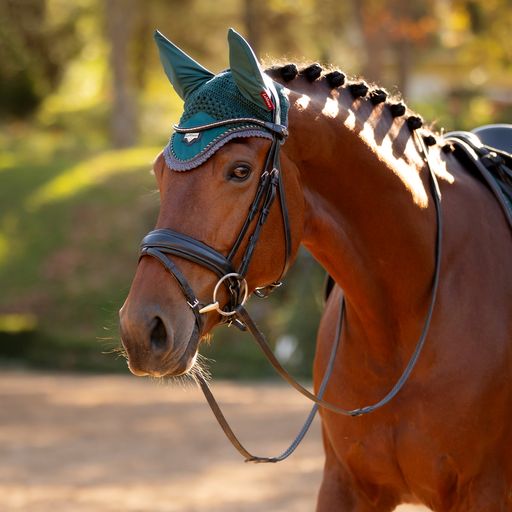 Loire Fly Hood Spruce