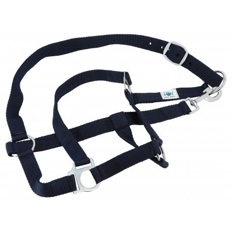RIDING WORLD Full - Helt set