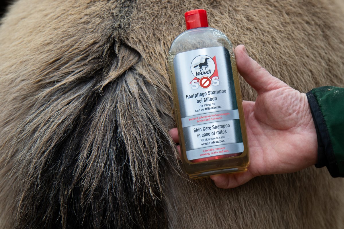 Leovet SOS Skin Care Shampoo in Case of Mites 500 ml